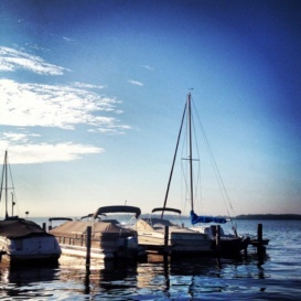 boats in a harbor