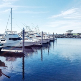 boats on marina in pensacola, florida