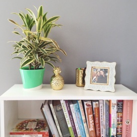bookshelf in home office