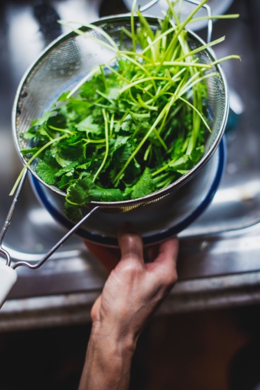 rinsing cilantro