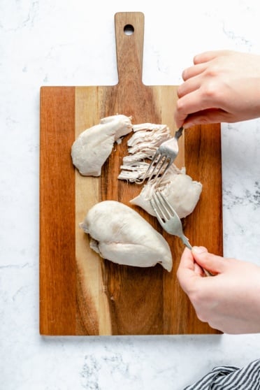 shredding poached chicken breast with two forks