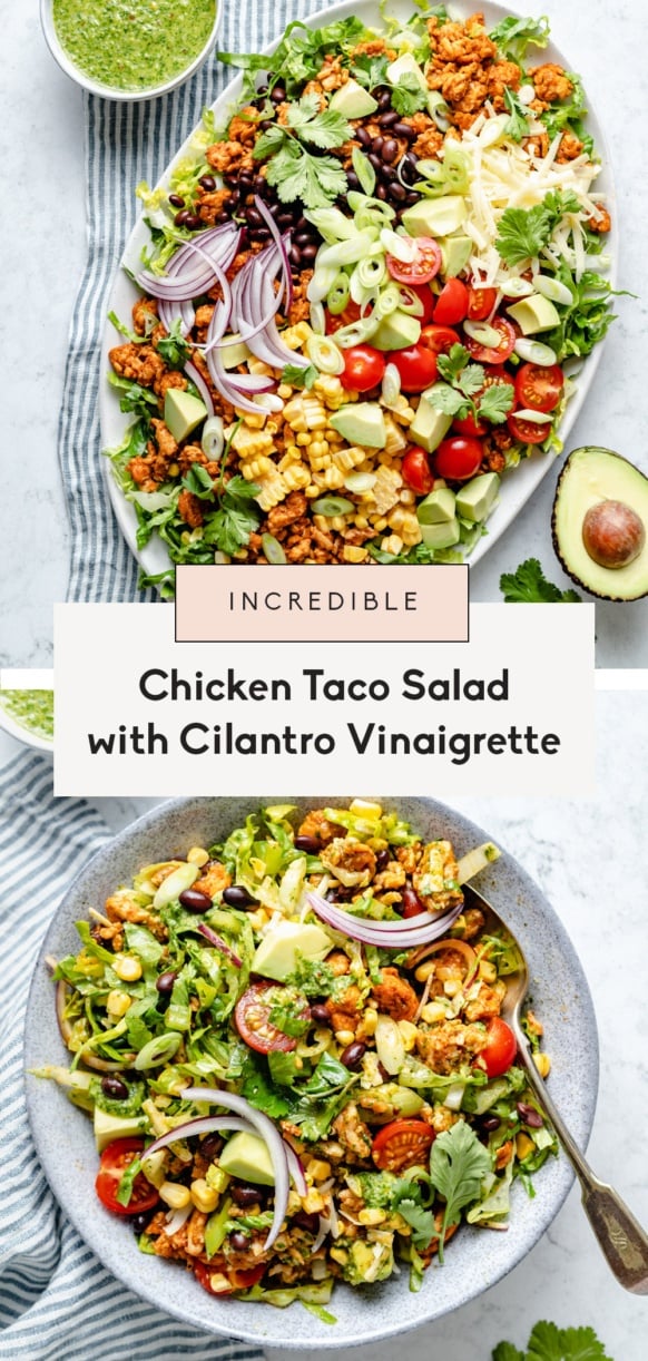 The Best Chicken Taco Salad Recipe | Ambitious Kitchen