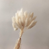dried cottontails