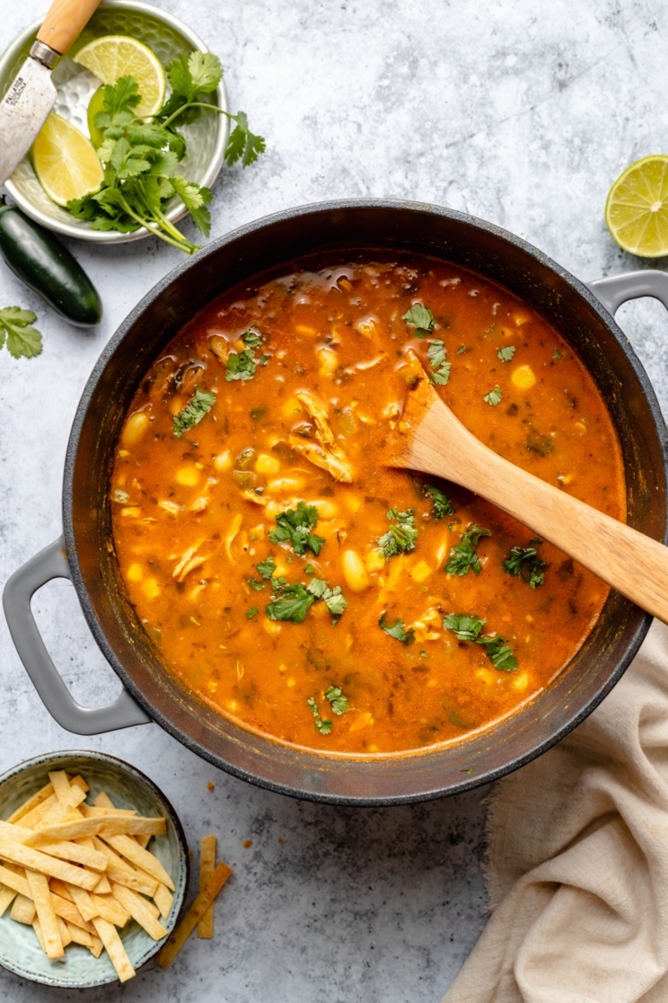 Creamy Chicken Enchilada Soup Ambitious Kitchen