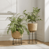 basket planters