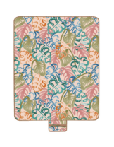 colorful picnic blanket