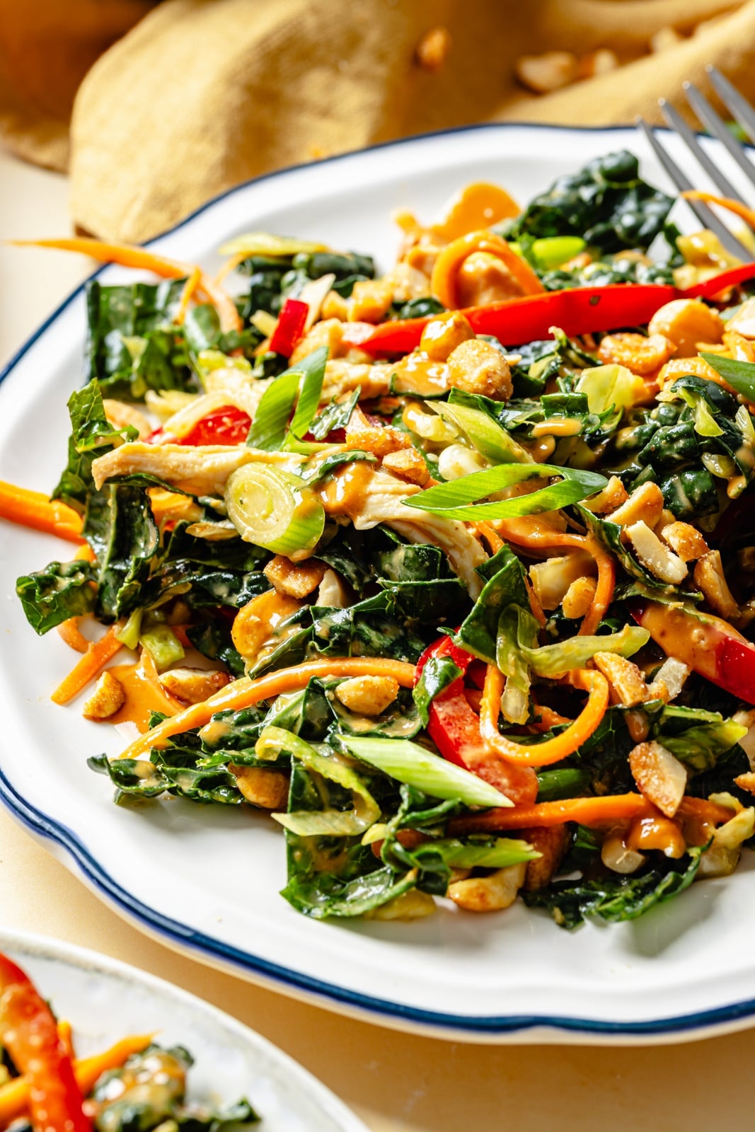 The ultimate crunchy peanut kale salad packed with a rainbow of vegetables and herbs, tossed in a dreamy, creamy ginger peanut dressing. This beautiful kale salad stays good in the fridge for days, making it the perfect high-fiber, protein-packed meal prep lunch! Enjoy as is or add an extra boost of protein for a heartier meal. kale peanut salad on a plate